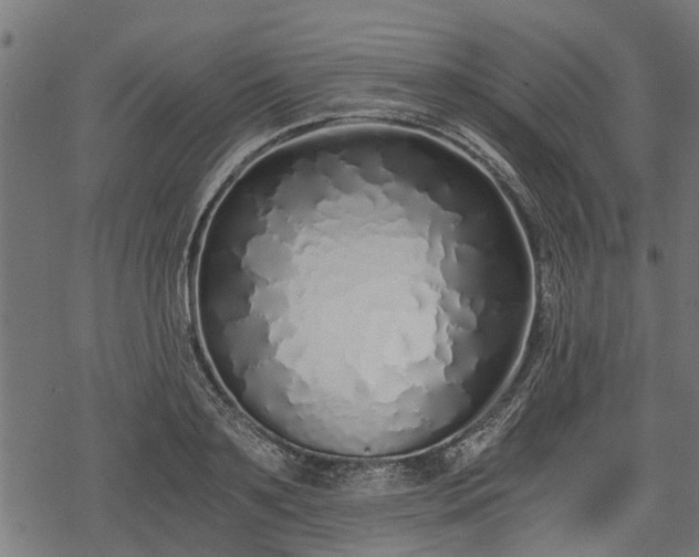 X0000068810891200605121247