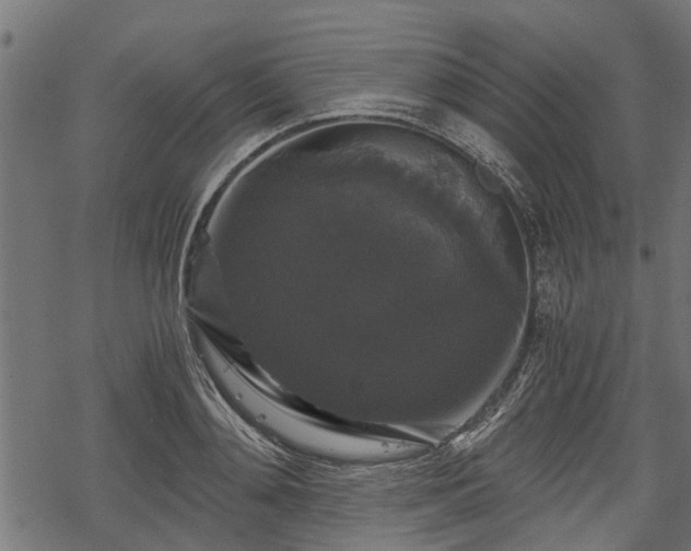 X0000068810892200605121247