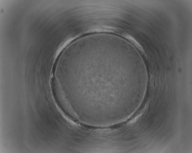 X0000068810893200605121247