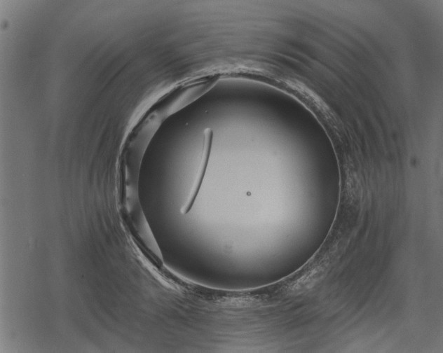 X0000068810894200605121247