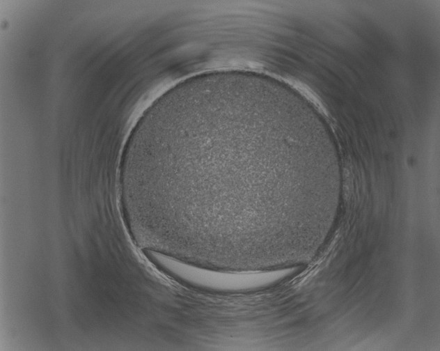 X0000068810895200605121247