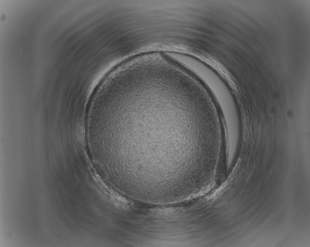 X0000068810896200605121247