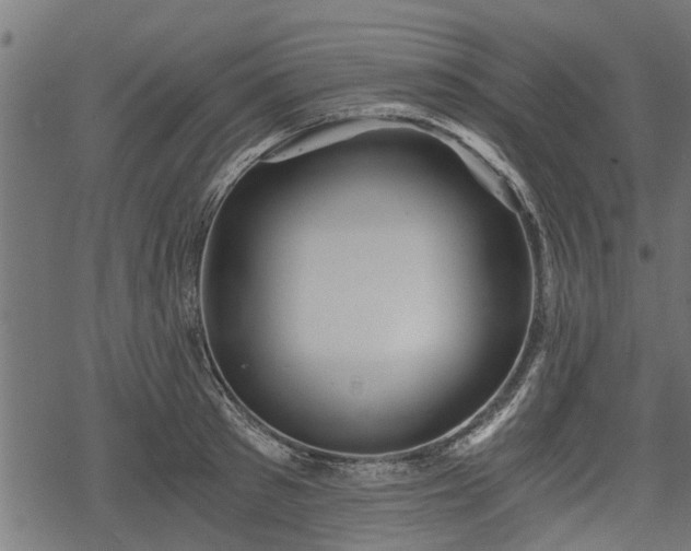 X0000068810897200605121247