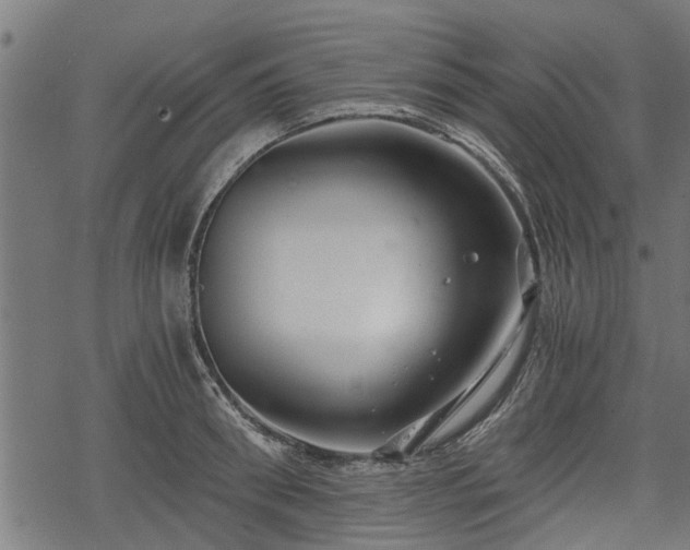 X0000068810898200605121247