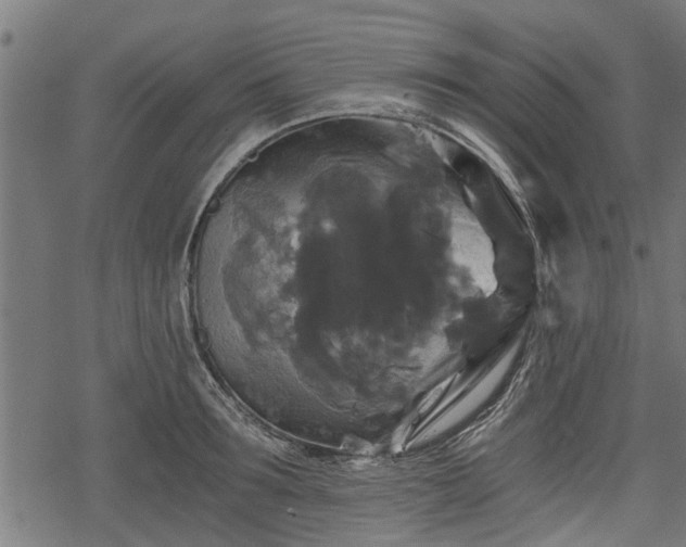 X0000068810899200605121247