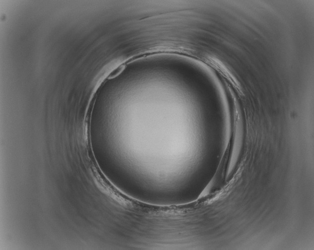 X0000068810900200605121247