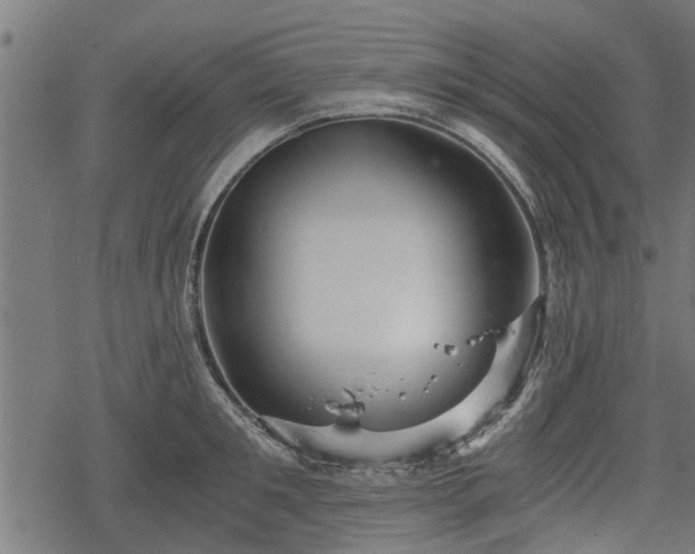 X0000068810901200605121247