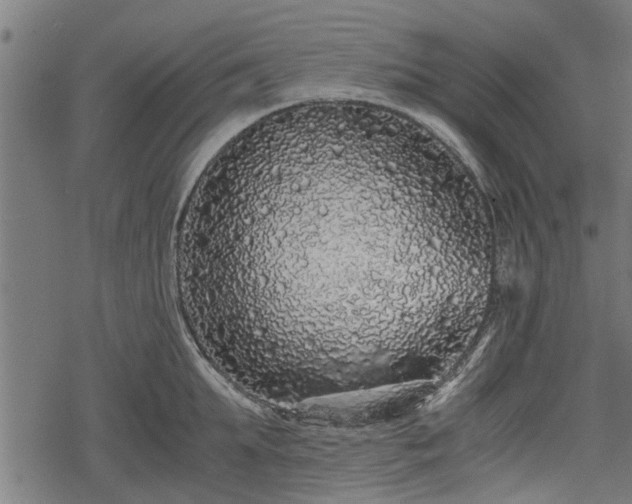 X0000068810903200605121247