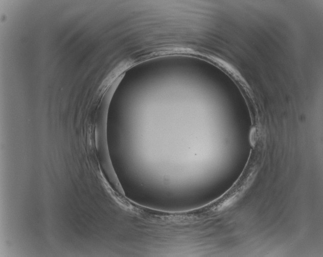 X0000068810905200605121247