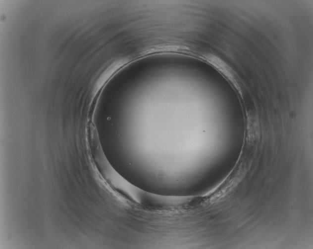 X0000068810906200605121247