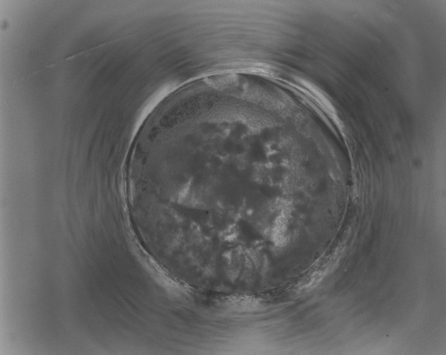 X0000068810907200605121247