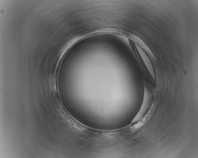 X0000068810908200605121247