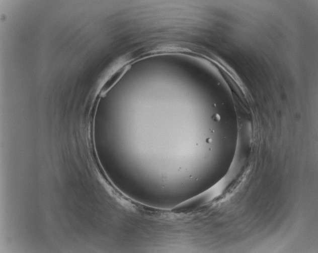 X0000068810909200605121247