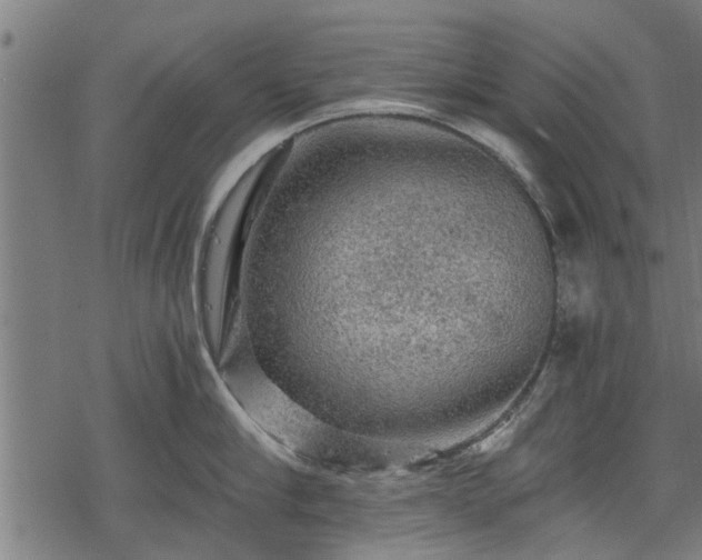 X0000068810910200605121247