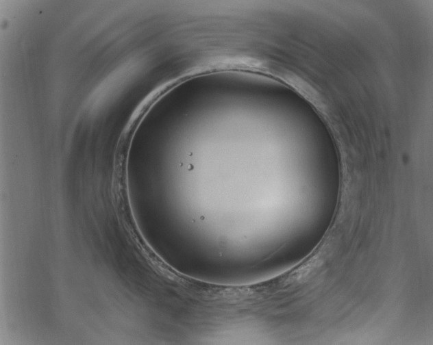 X0000068810912200605121247