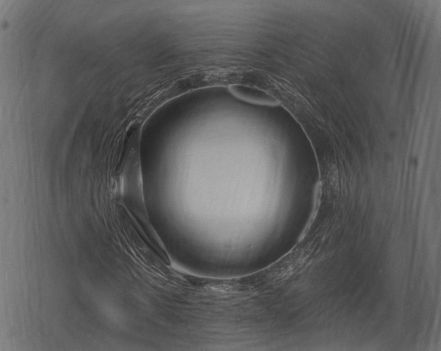 X0000068810914200605121246