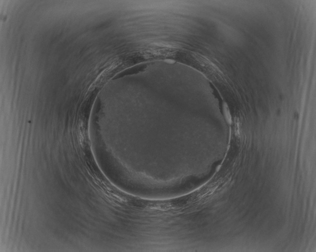 X0000068810915200605121246