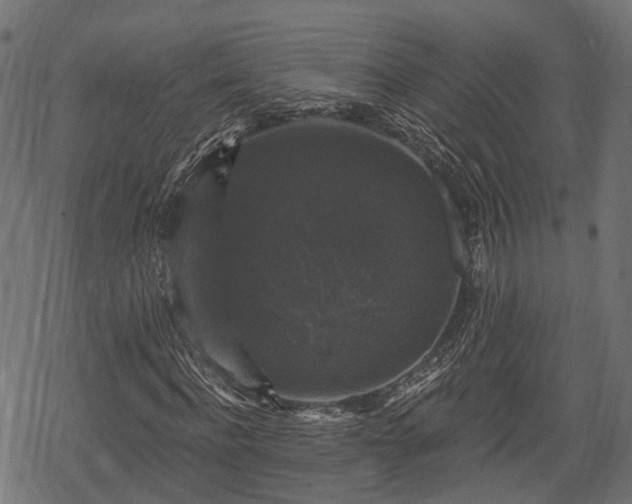 X0000068810916200605121246