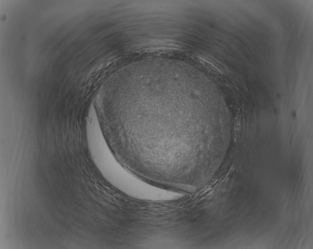 X0000068810917200605121246