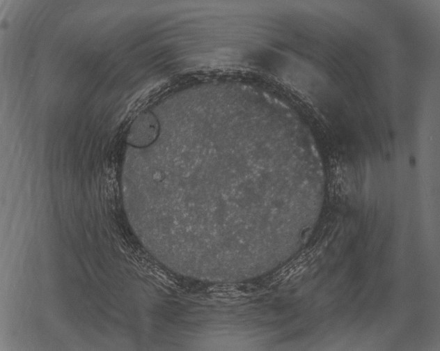 X0000068810918200605121246