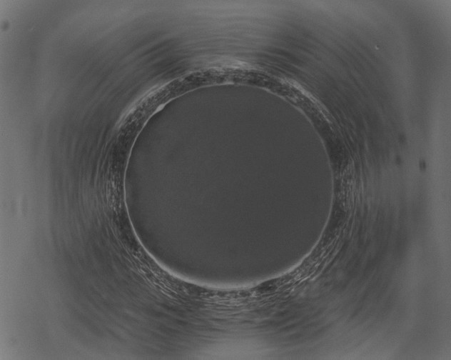 X0000068810919200605121246