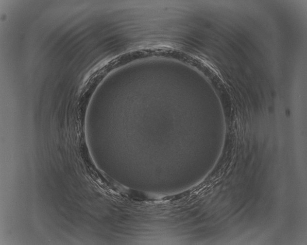 X0000068810920200605121246