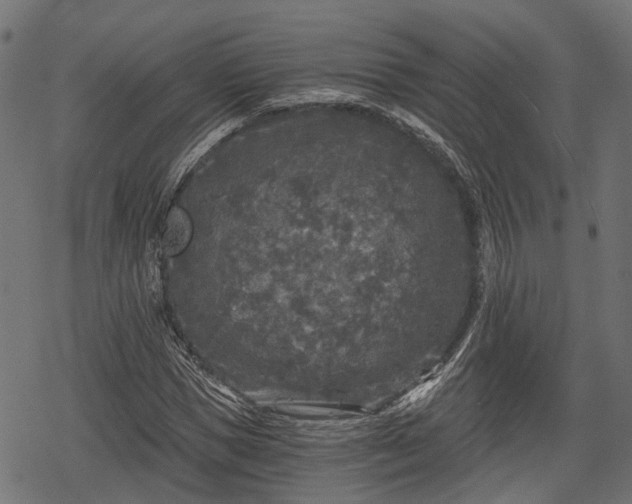 X0000068810921200605121246