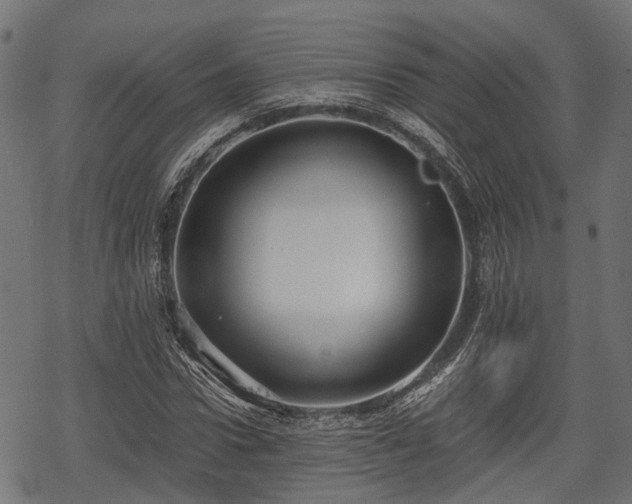 X0000068810922200605121246