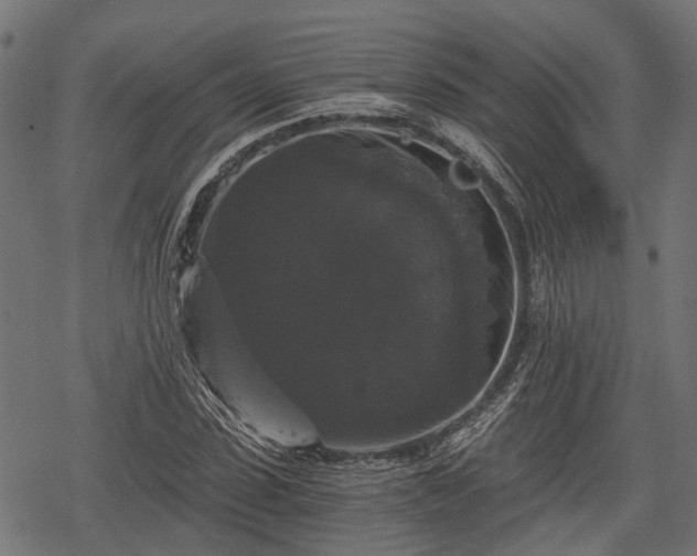 X0000068810923200605121246