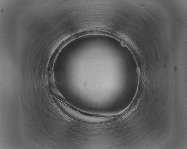 X0000068810924200605121246