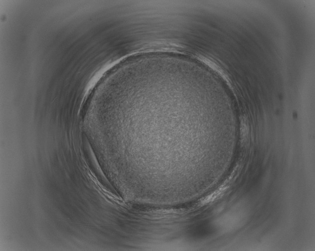 X0000068810925200605121246