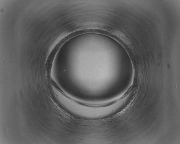 X0000068810926200605121246