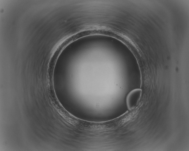 X0000068810927200605121246