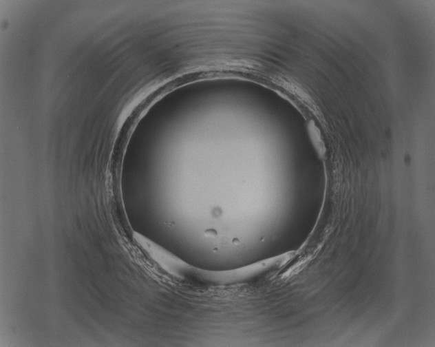 X0000068810928200605121246