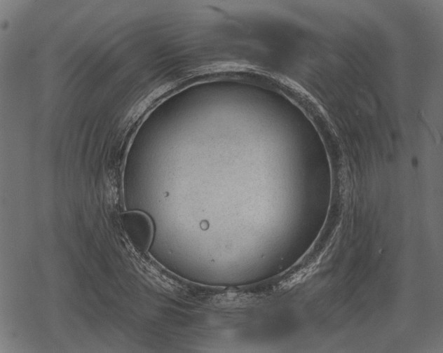 X0000068810929200605121246