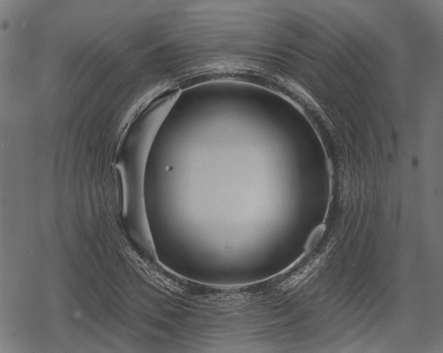 X0000068810930200605121246