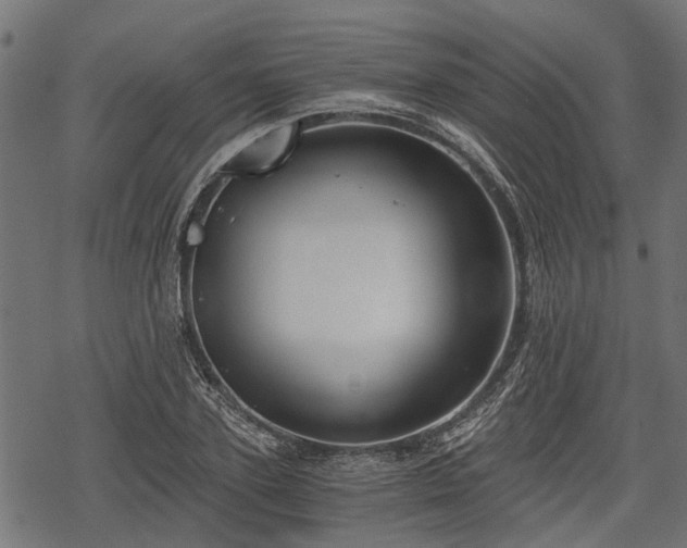 X0000068810931200605121246