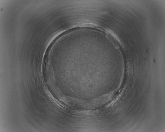 X0000068810932200605121246