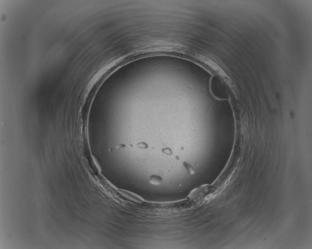 X0000068810933200605121247