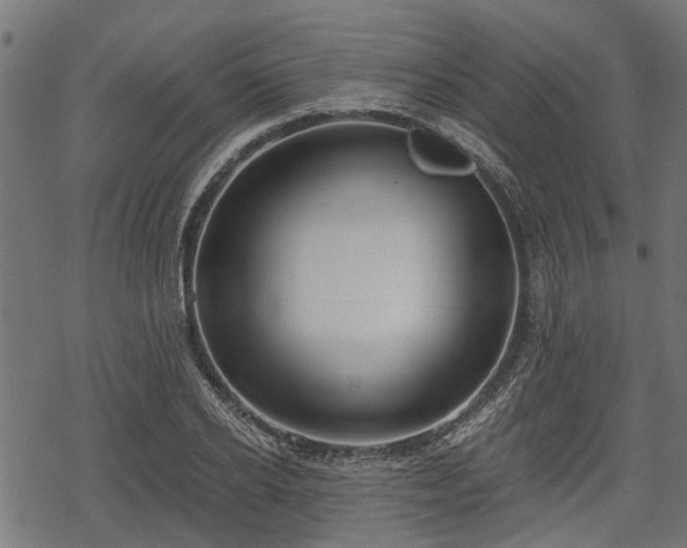 X0000068810934200605121247