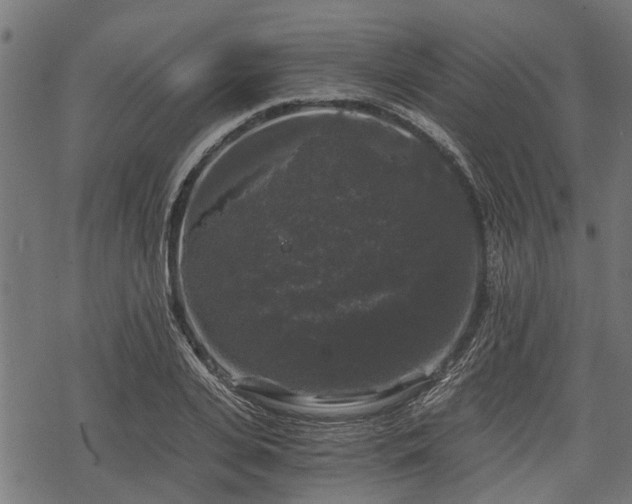 X0000068810935200605121247