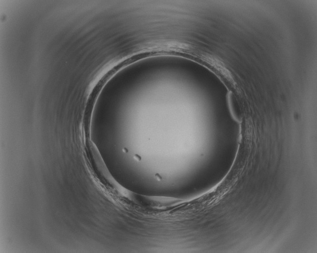 X0000068810936200605121247