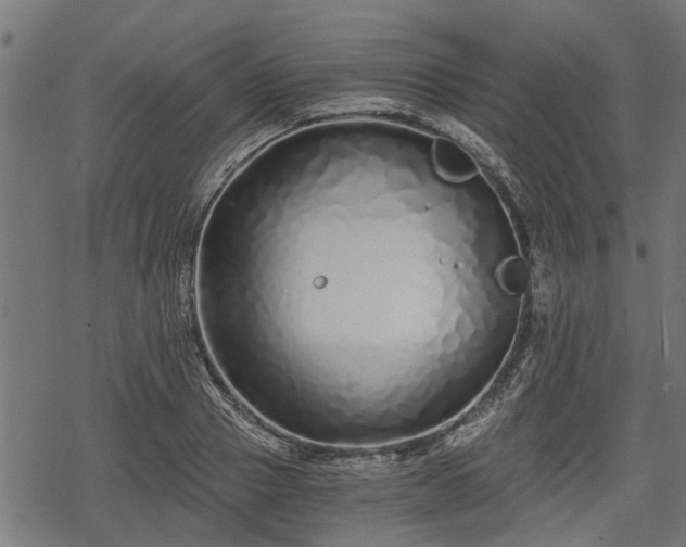 X0000068810937200605121247