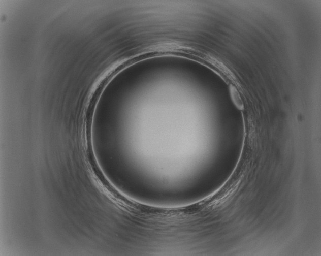 X0000068810939200605121247