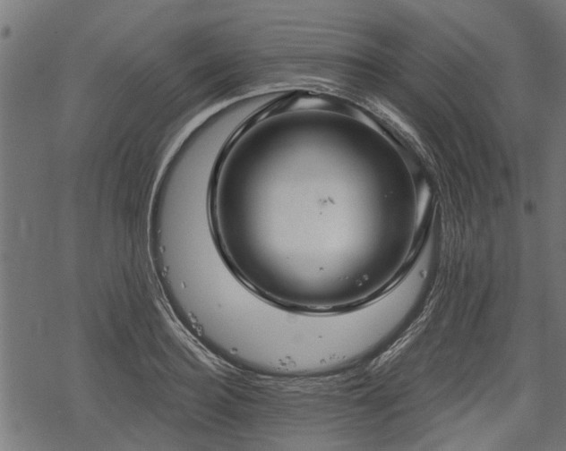 X0000068810940200605121247