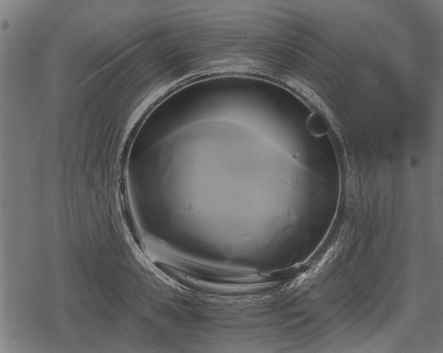 X0000068810941200605121247