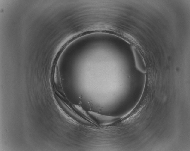 X0000068810942200605121247