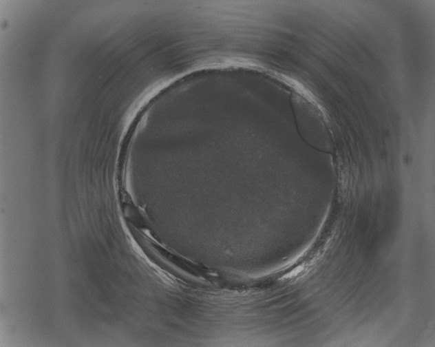 X0000068810943200605121247