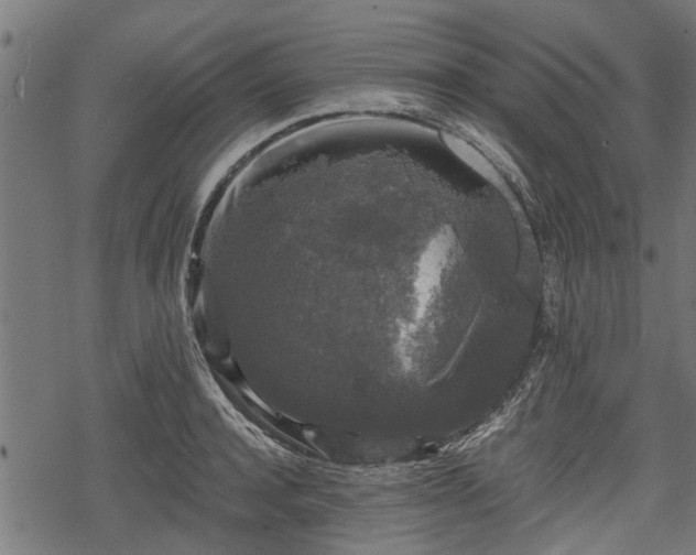 X0000068810944200605121247