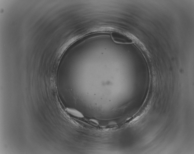 X0000068810945200605121247